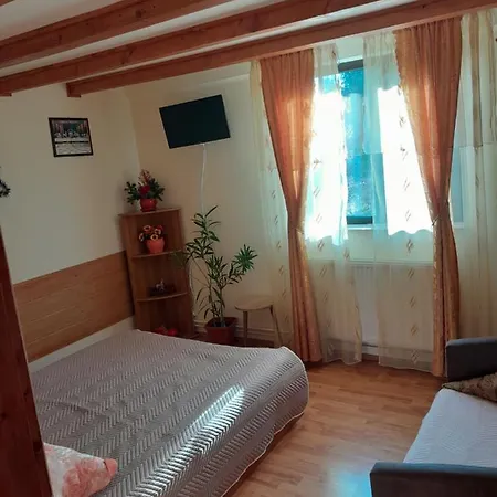 Casa Geo Apartment Breaza de Jos